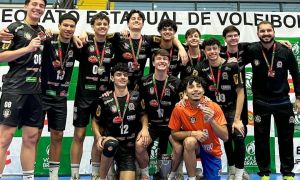 Vôlei