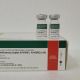 Influenza vacina