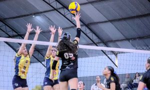 Vôlei