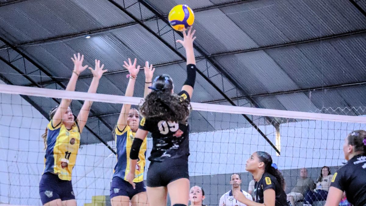 Vôlei