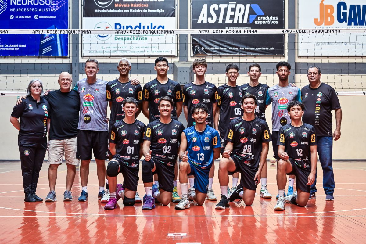 Vôlei
