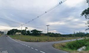 Trevo