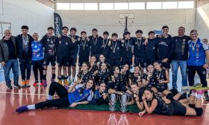 Vôlei Olesc