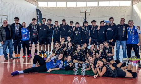 Vôlei Olesc