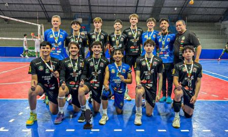 Vôlei