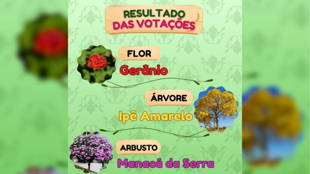 gerânio
