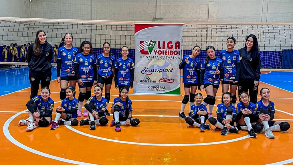 Vôlei