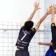 Vôlei