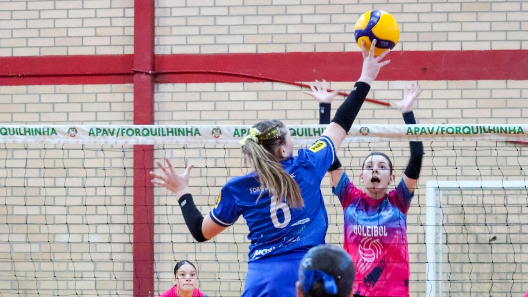 Vôlei