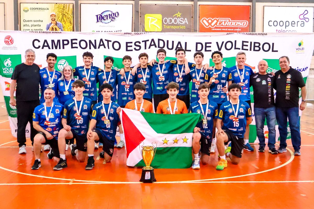 Vôlei