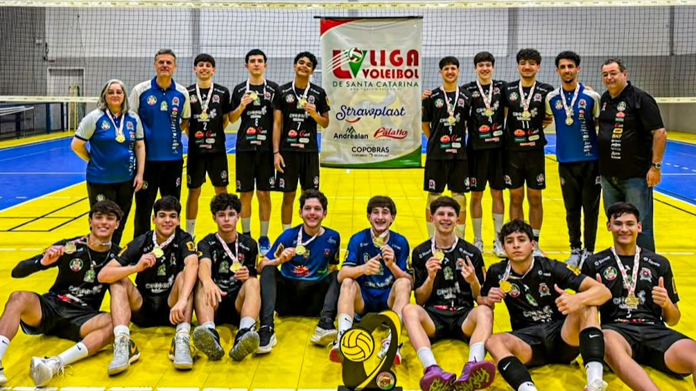 Vôlei