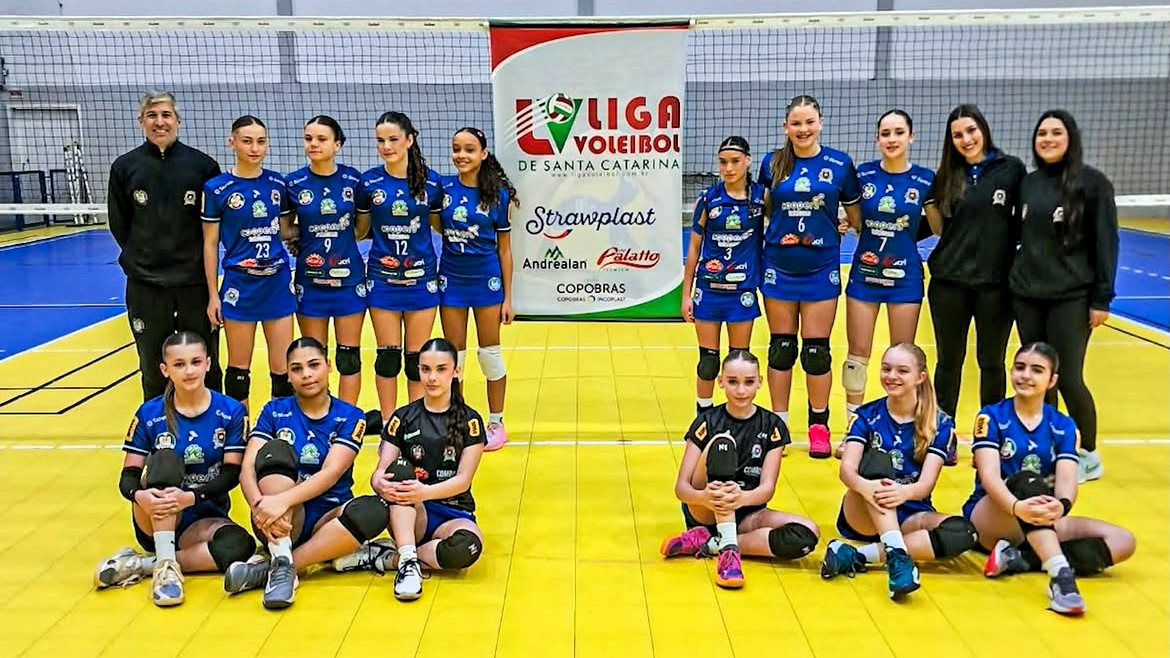 Vôlei